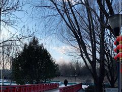 -大望京公园