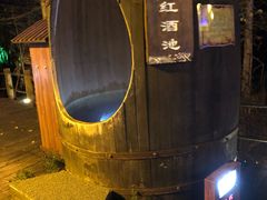 -长白山聚龙火山温泉