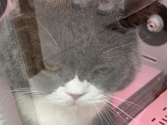 -FAELING PETS美天灵宠物(富力广场店)