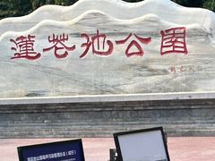 -莲花池公园