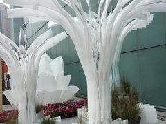 -重庆市江北嘴中央商务区中央公园