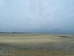 -北海金海湾红树林生态旅游区