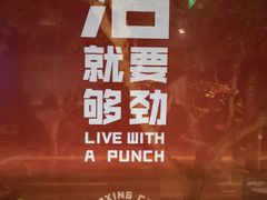 -Boxing Cat Brewery拳击猫精酿啤酒馆(永福店)