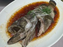 清蒸石斑鱼-顺风江南宴(静安大融城店)