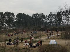 -三圣花乡旅游区