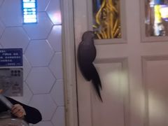 -范特西FANTASY量贩式KTV(民主广场店)
