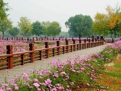 -巴黎蓝带厨艺学校