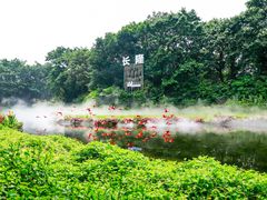 -广州长隆飞鸟乐园