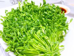 鲜活豆苗-红雀围·海鲜火锅(陆家嘴中心店)