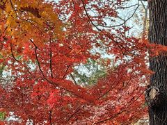 -青岛崂山太清宫