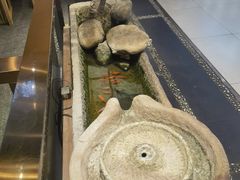 -秦九和(凯德广场店)