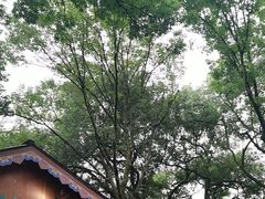 -灵隐飞来峰景区