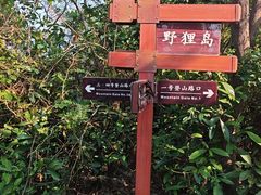 -野狸岛