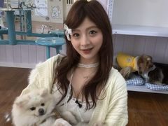 -汪说·狗咖·拼豆·宠物周边DIY(旺城大厦店)