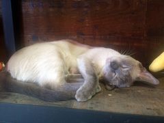 -MIKAKU(万达广场上海宝山店)