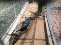 -羊亭河湿地公园