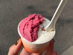 -Dip in Gelato(富民路店)