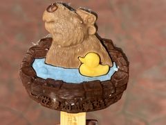 -上海野生动物园老虎餐厅