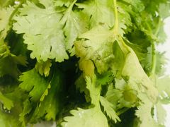 -蒙星月涮肚火锅城(宏运家园店)