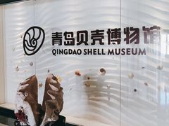 -青岛贝壳博物馆