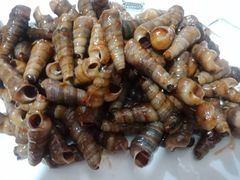 -宾朋海鲜特色美食餐厅·纯手工鲅鱼水饺(兴海路店)