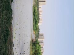 -丁香湖公园