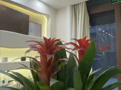 -艾通康缘艾灸.疼痛.睡眠养生馆(凤凰城店)
