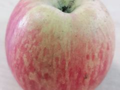 -壹号果仓(常熟三店)