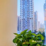 石牌土豪村/服务CHAO赞的高空环境专业验光配镜