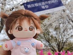 -天王浮山樱花园