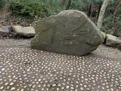 -上海佘山国家森林公园天马山园