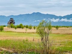 -野鸭湖国家湿地公园