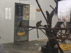 -西安秦岭野生动物园