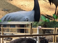 -秦皇岛野生动物园