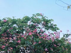 -重庆玛雅海滩水公园