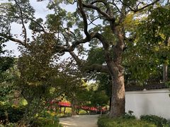 -天王寺公园