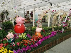 -上海鲜花港