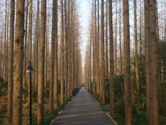 怡沁东路-上海怡沁园度假酒店