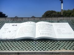 -观潮胜地公园
