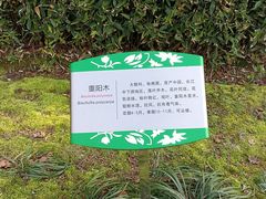 -白塘生态植物园