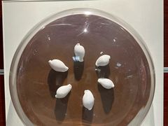 -青岛贝壳博物馆