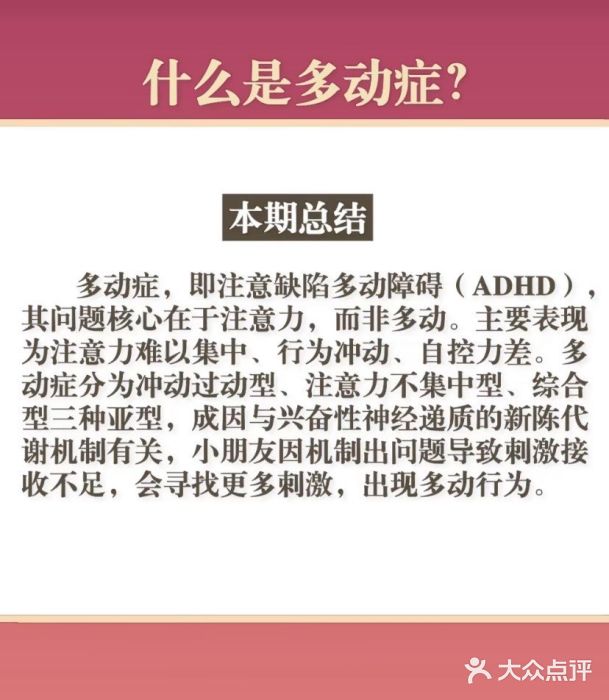金色雨林学习力培优(专注力提升)图片