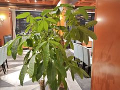 -大鸭梨烤鸭(金色漫香店)