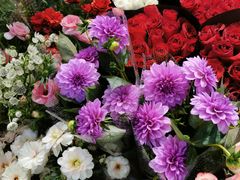 -双季花艺园艺市场(浦东店)
