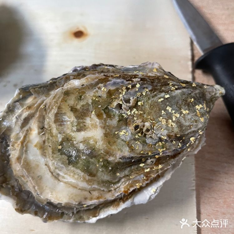 吉吉今天也在吃 blog 09 🦪