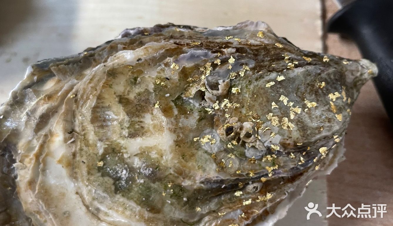 吉吉今天也在吃 blog 09 🦪