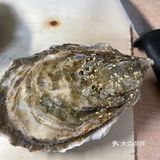 吉吉今天也在吃 blog 09 🦪