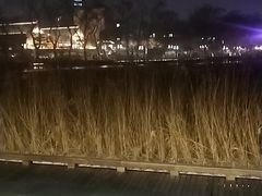 -后海公园