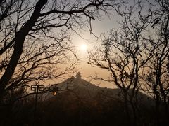 -杭州半山国家森林公园