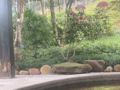 -融汇温泉